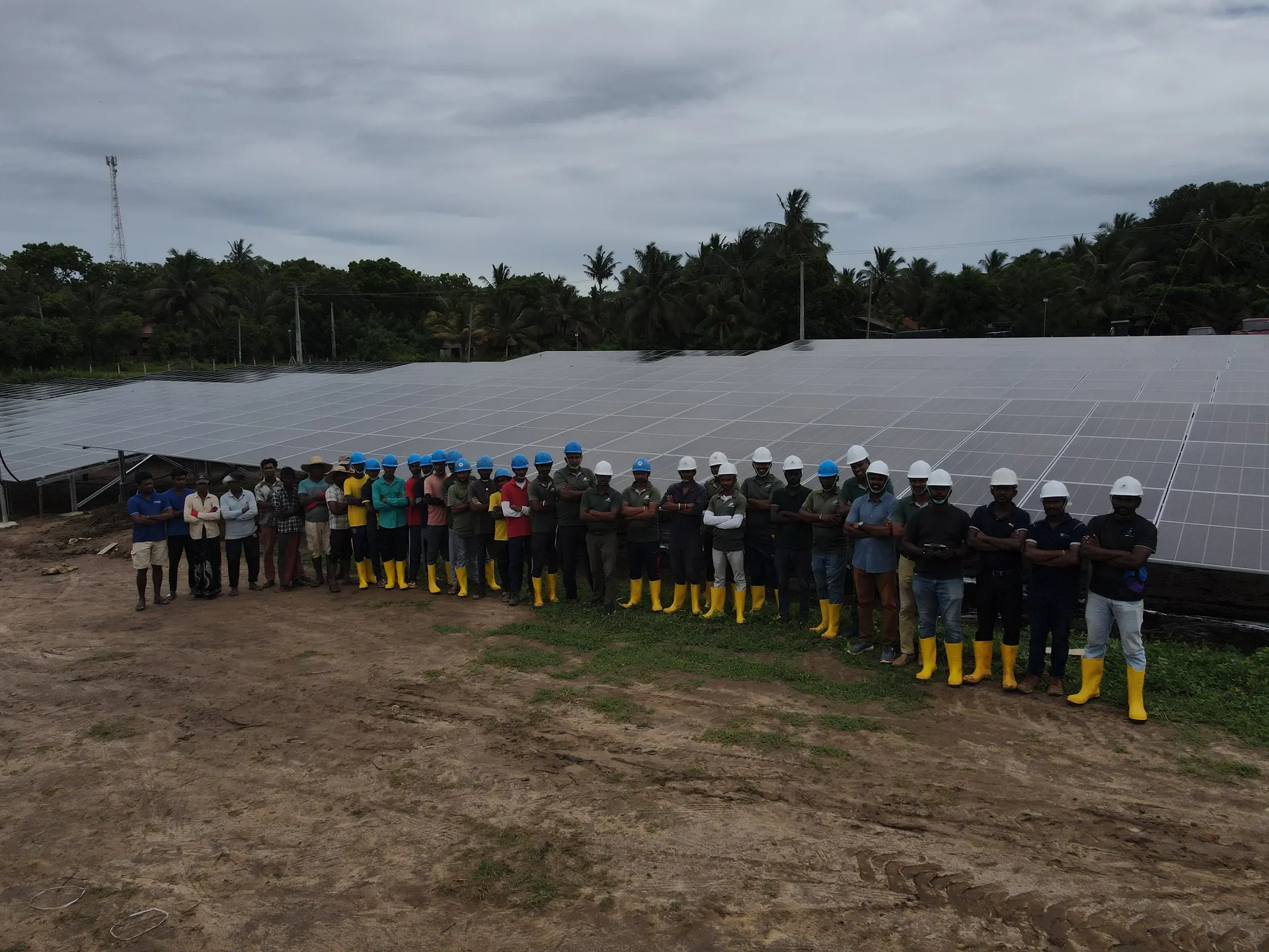 Solar Plant View 4